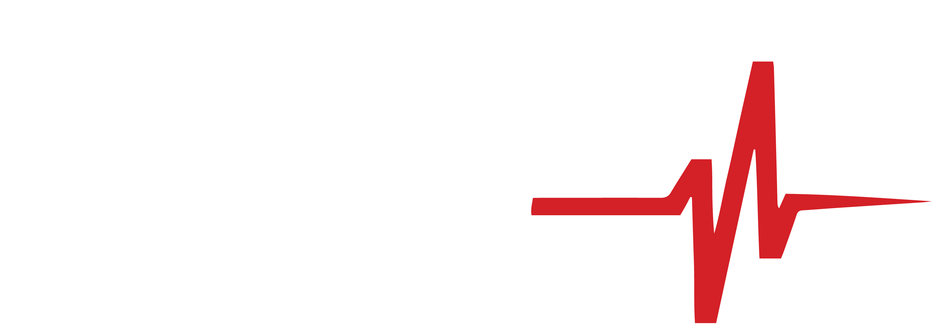Sourcing Pulse Logo
